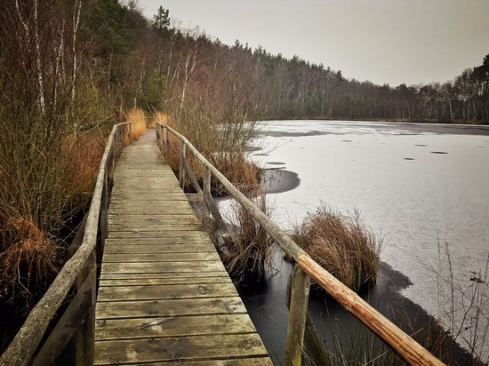 Müritz Nationalpark
